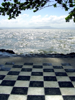 This is a photo of a game table, specifically a  chess board, situated by the water and under a tree ... somewhere in Brazil.  Boy, could I use an afternoon there!  Photo by Eduardo Konze of Florianopolis, Brazil. 